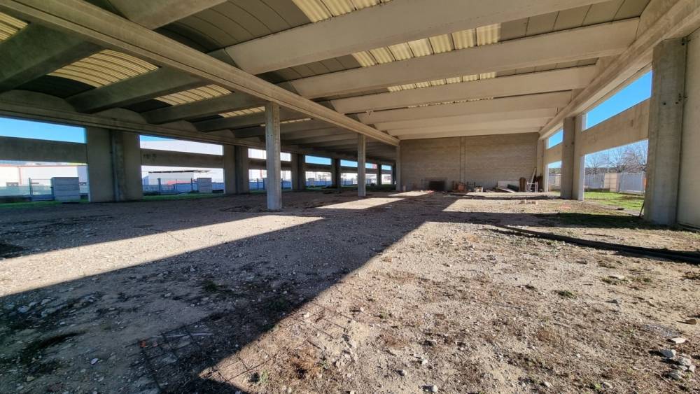 immagine annuncio 1 di 13