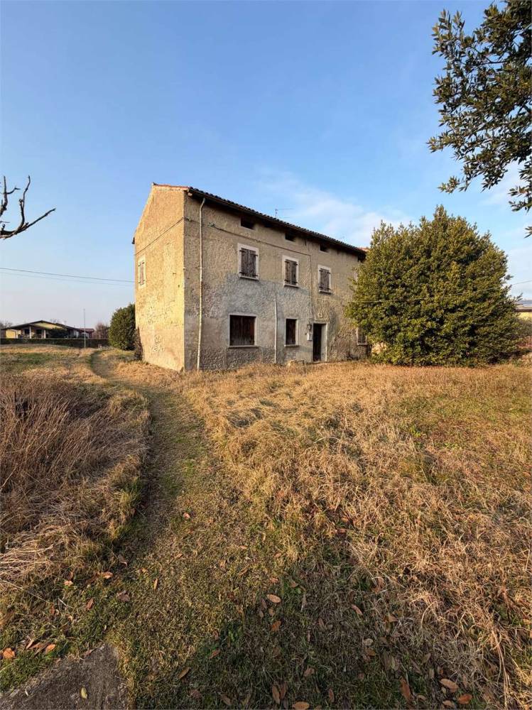 immagine annuncio 12 di 13