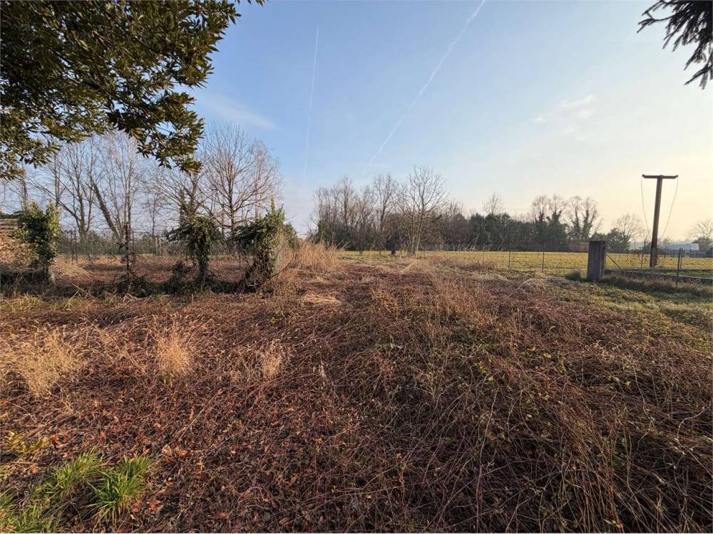 immagine annuncio 5 di 13