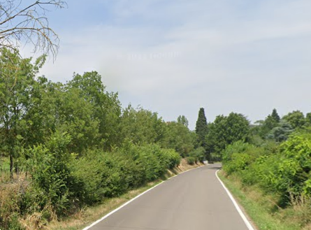 immagine annuncio 6 di 13