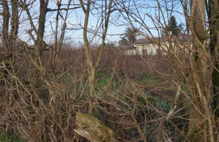 immagine annuncio 3 di 13