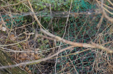 immagine annuncio 7 di 13