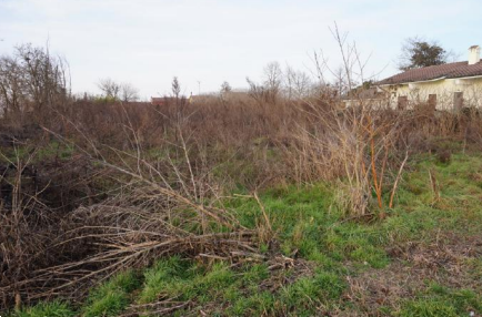 immagine annuncio 8 di 13