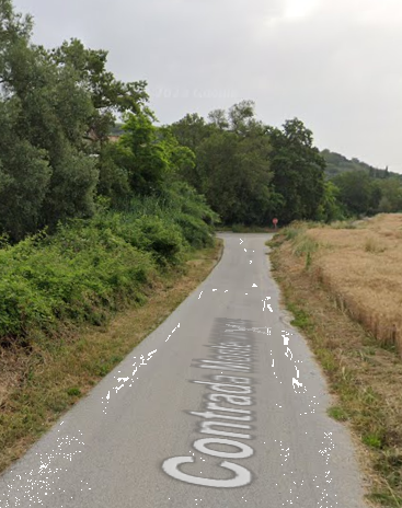 immagine annuncio 4 di 13