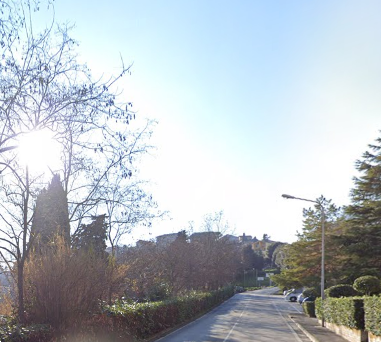 immagine annuncio 2 di 13