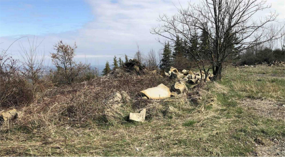 immagine annuncio 1 di 13