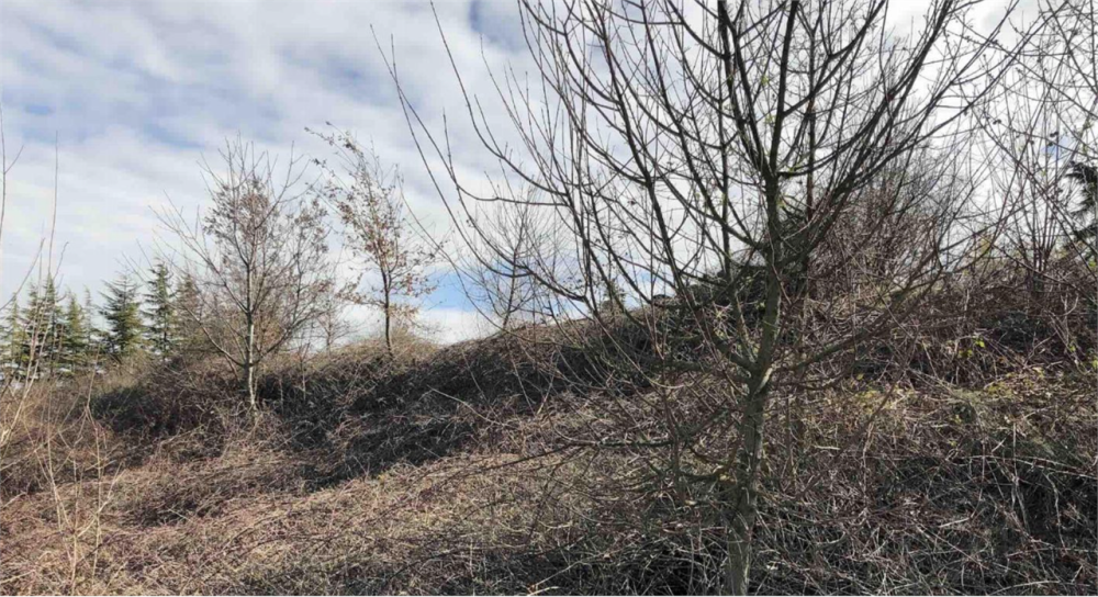 immagine annuncio 2 di 13