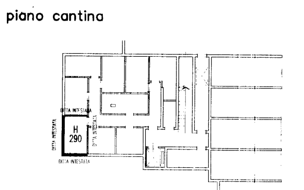 immagine annuncio 8 di 13