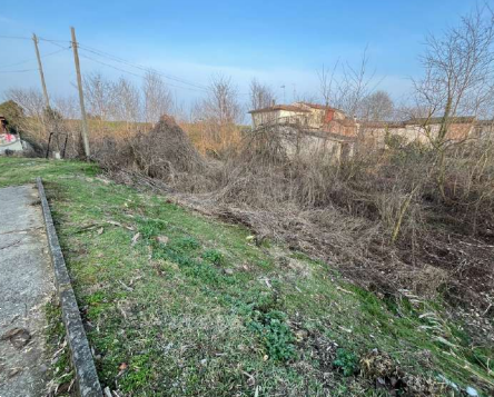 immagine annuncio 7 di 13