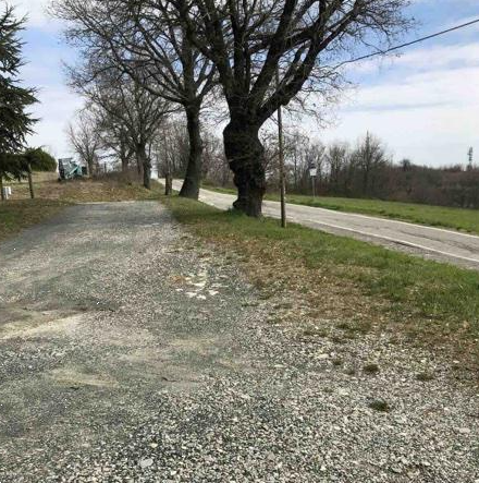 immagine annuncio 3 di 13