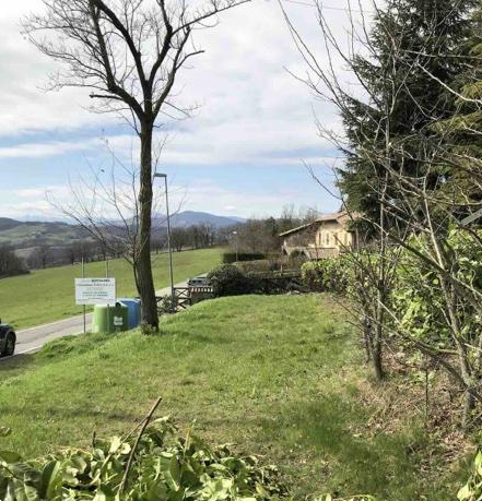 immagine annuncio 4 di 13