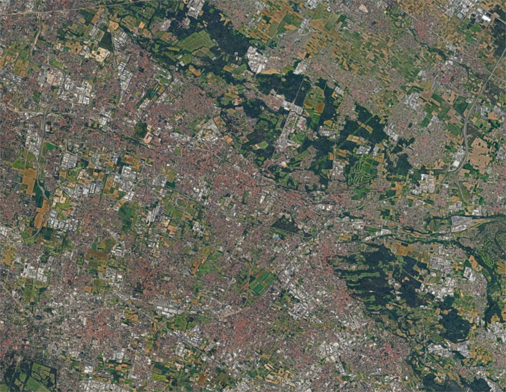 immagine annuncio 9 di 13