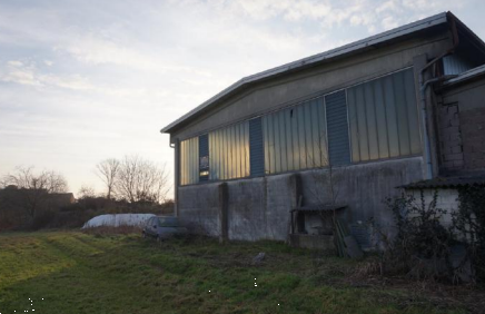 immagine annuncio 7 di 13