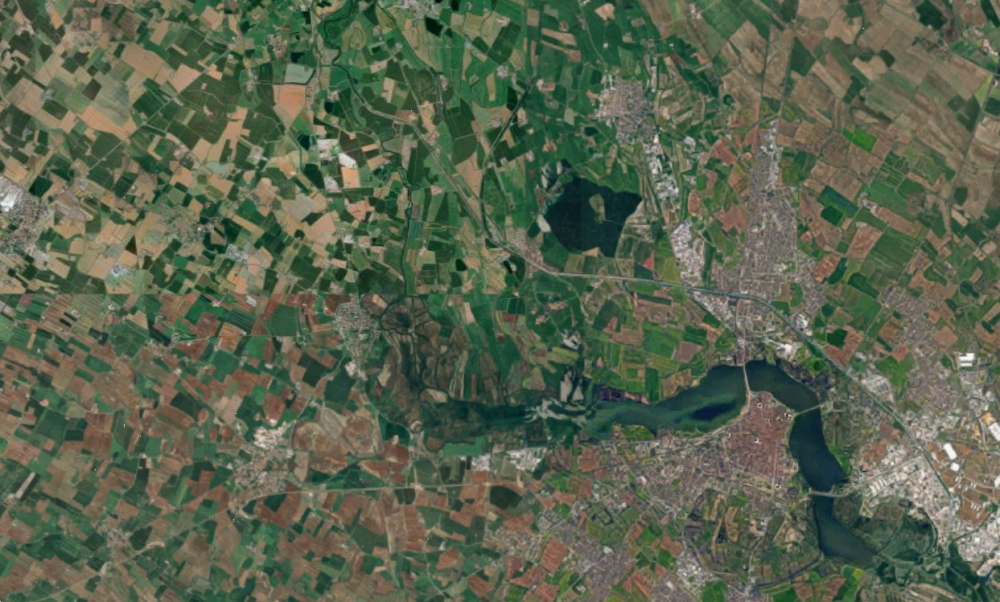 immagine annuncio 4 di 13