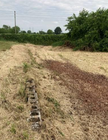 immagine annuncio 7 di 13