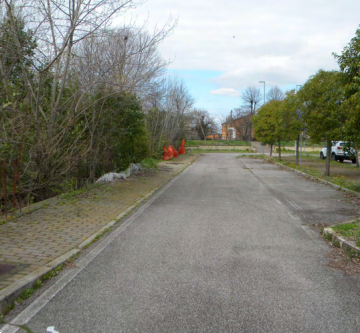 immagine annuncio 3 di 13