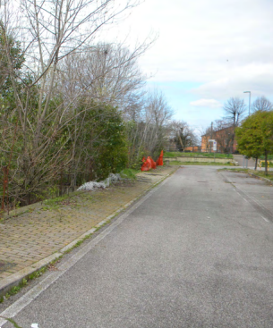 immagine annuncio 4 di 13