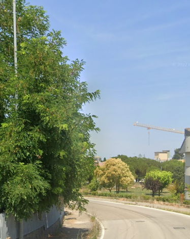 immagine annuncio 6 di 13