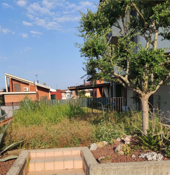 immagine annuncio 3 di 13