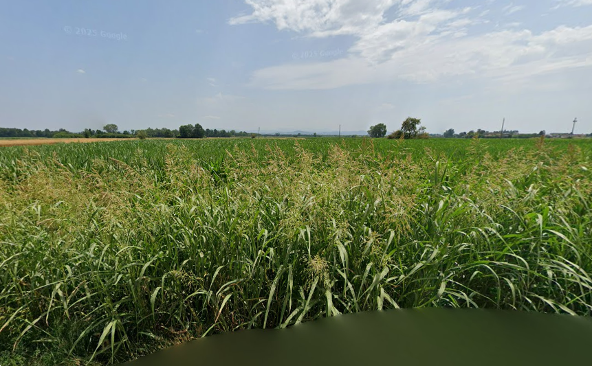 immagine annuncio 1 di 11