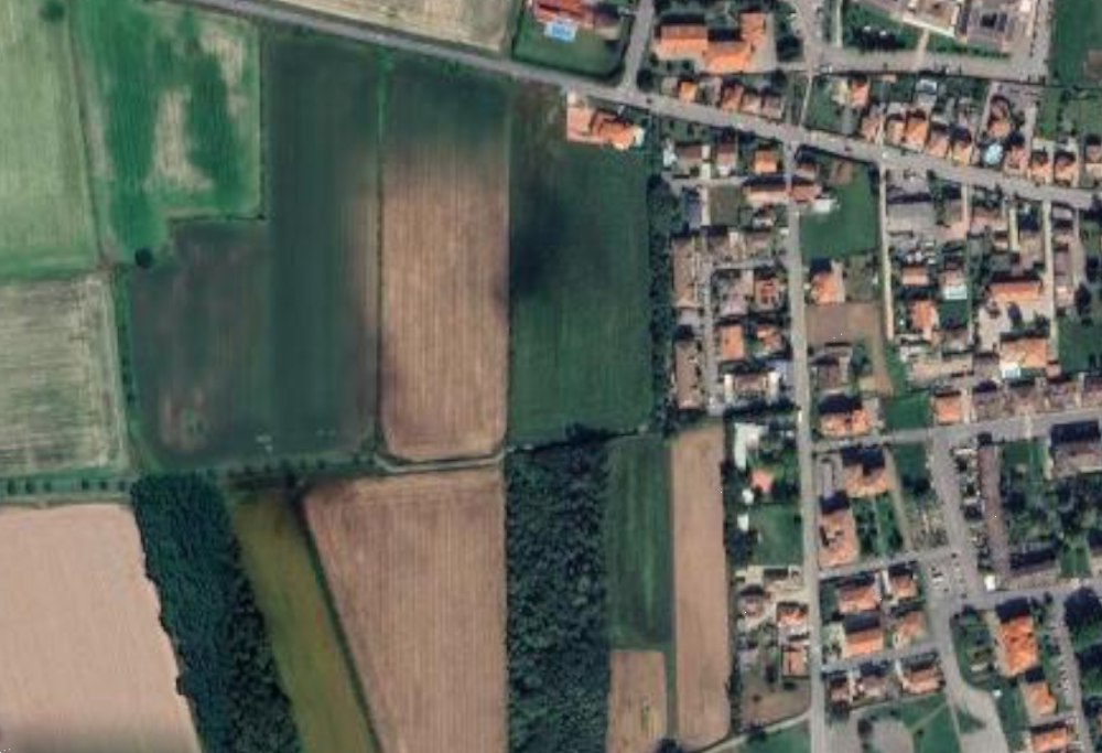 immagine annuncio 5 di 12