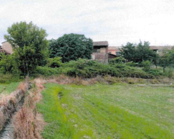 immagine annuncio 4 di 13