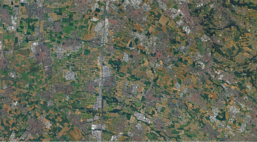 immagine annuncio 12 di 13