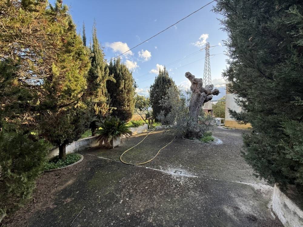 immagine annuncio 5 di 13