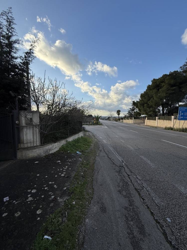 immagine annuncio 6 di 13