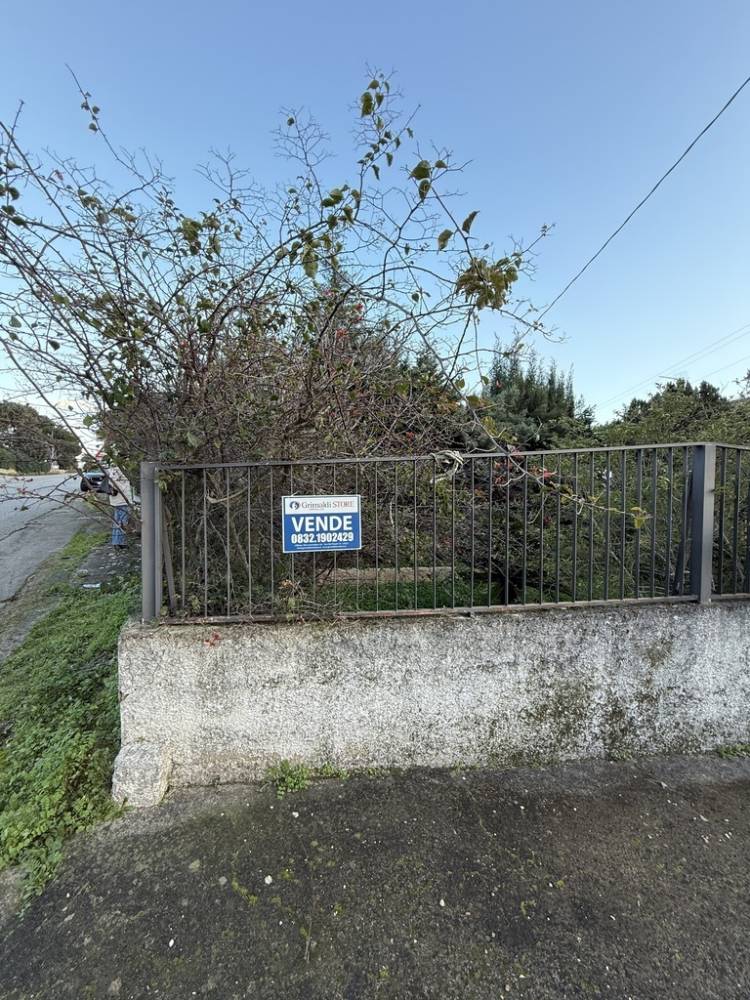 immagine annuncio 7 di 13