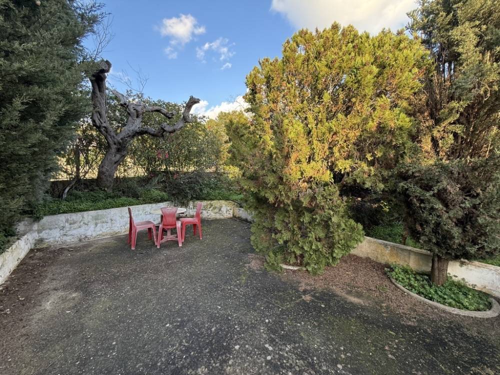 immagine annuncio 8 di 13