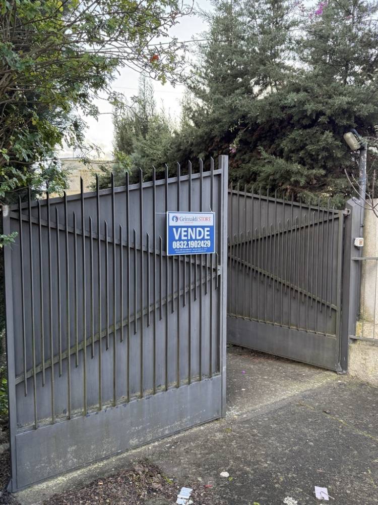 immagine annuncio 12 di 13