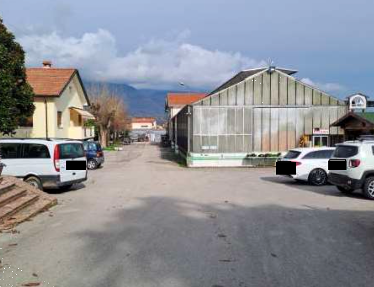 immagine annuncio 2 di 13