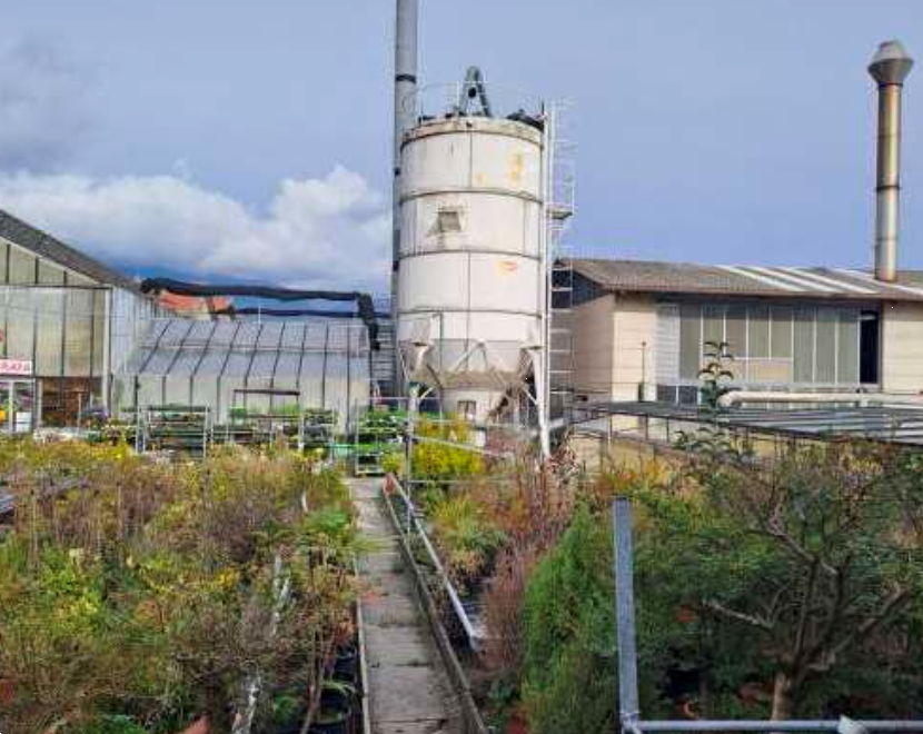 immagine annuncio 5 di 13