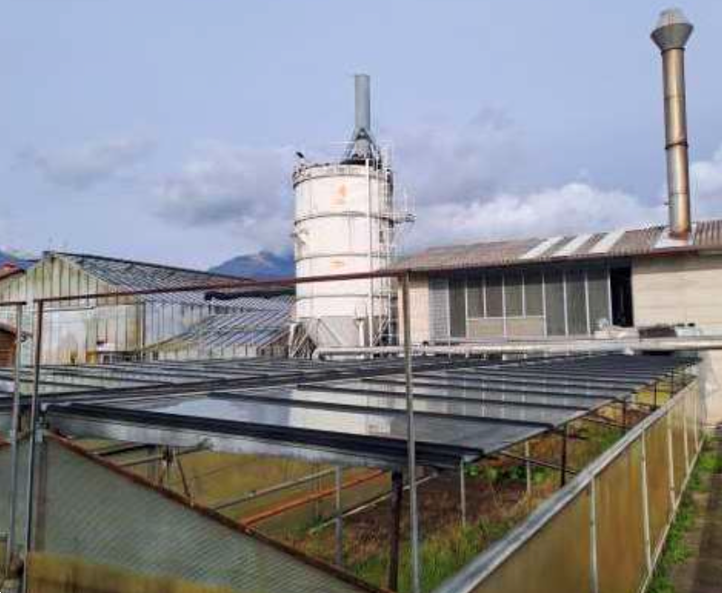 immagine annuncio 6 di 13