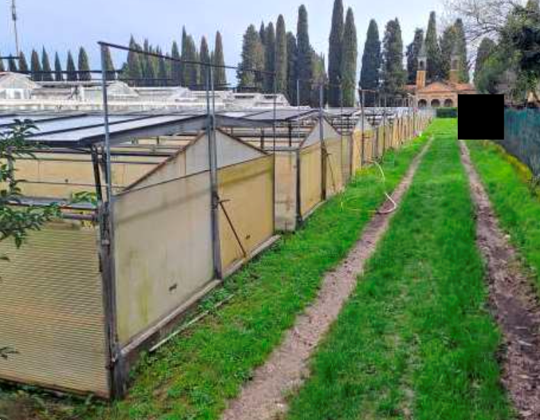 immagine annuncio 7 di 13