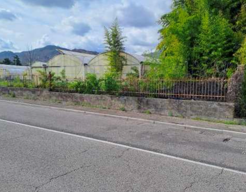 immagine annuncio 8 di 13