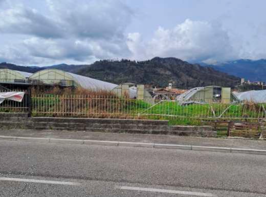 immagine annuncio 11 di 13