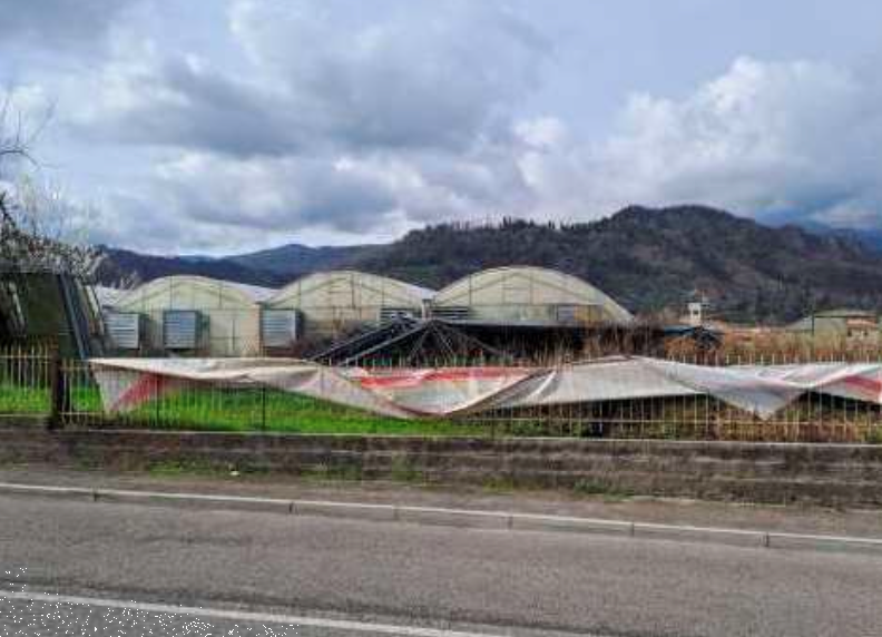 immagine annuncio 12 di 13