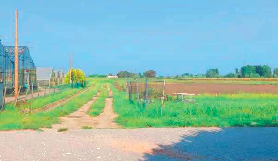 immagine annuncio 2 di 13