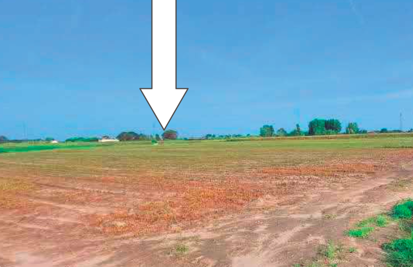 immagine annuncio 5 di 13