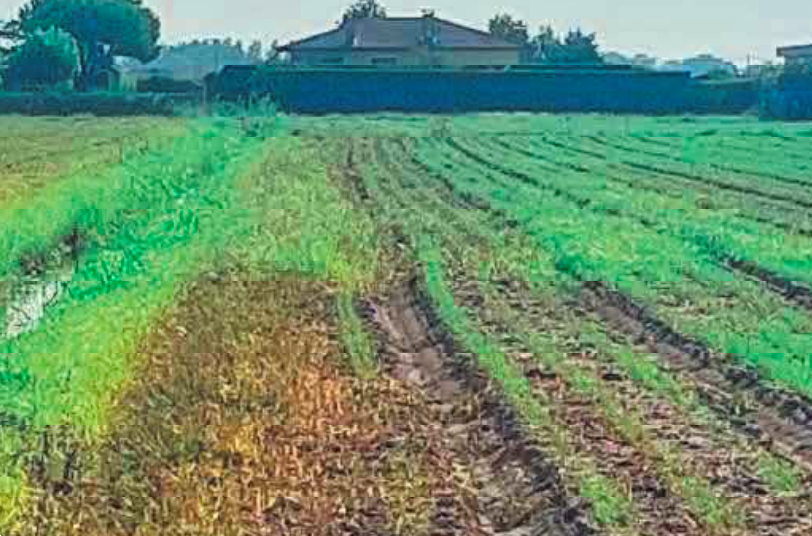 immagine annuncio 6 di 13