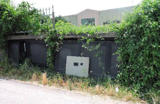 immagine annuncio 5 di 13