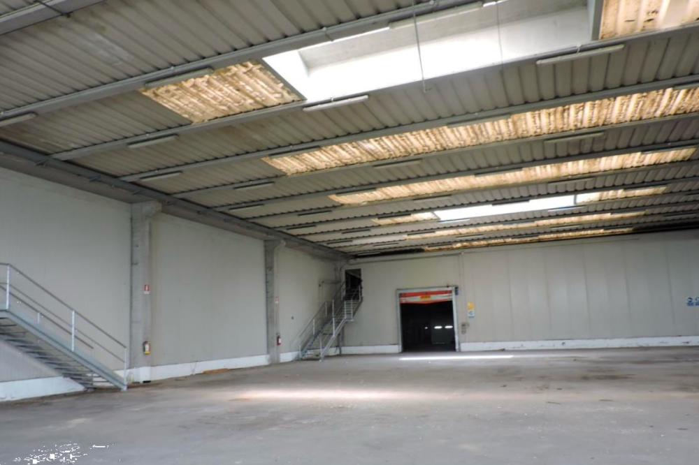 immagine annuncio 1 di 13