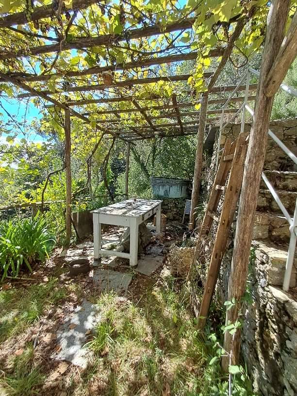 immagine annuncio 1 di 13