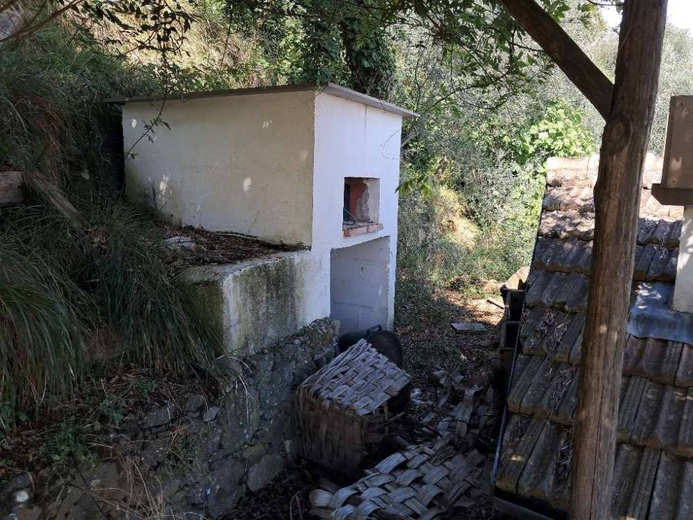 immagine annuncio 8 di 13