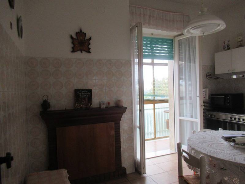 immagine annuncio 3 di 13