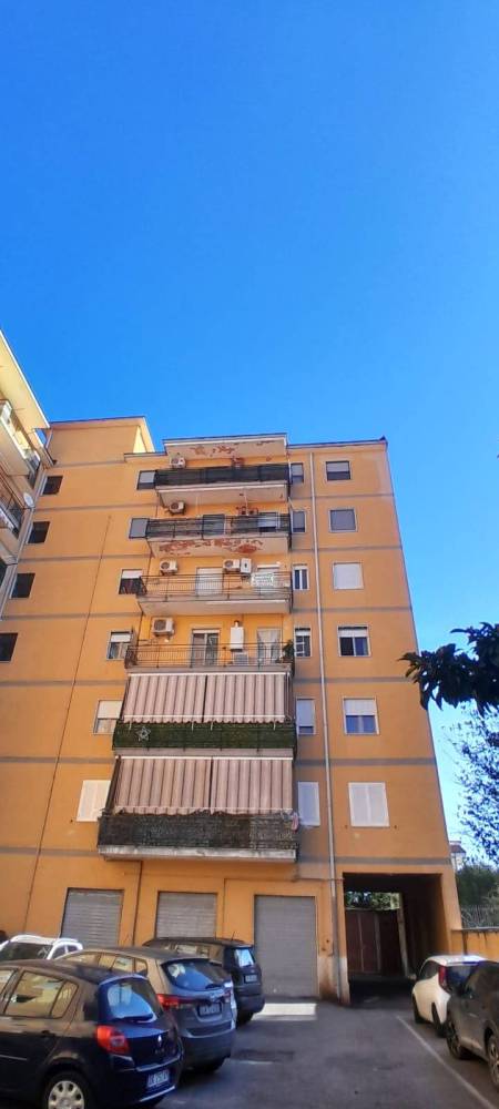 immagine annuncio 3 di 13