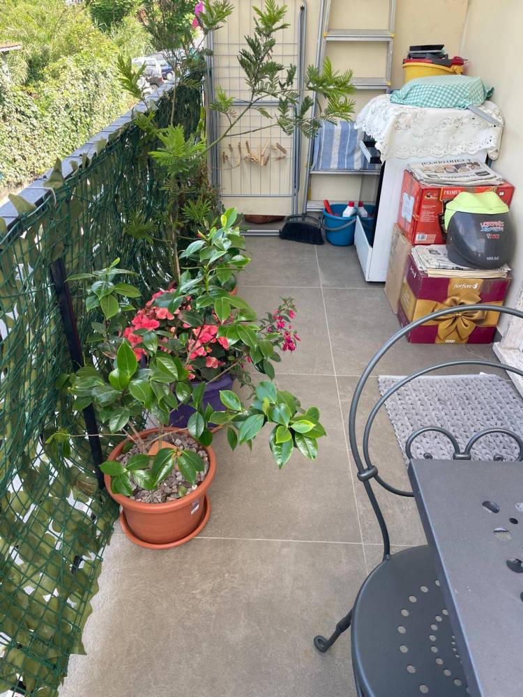 immagine annuncio 12 di 13