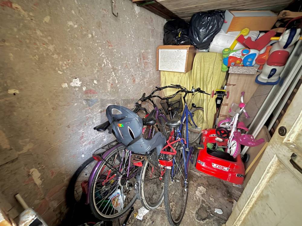 immagine annuncio 12 di 13